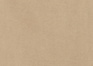 LUISA CERANO Beige Baby Flare Jeans