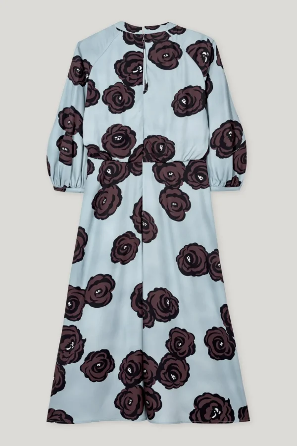 LUISA CERANO Maxi Dress With Flower Print